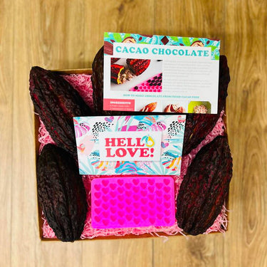 The Chocolatier's Apprentice Box - Make Chocolate from Cacao Pods Cacao Tropical Fruit Box